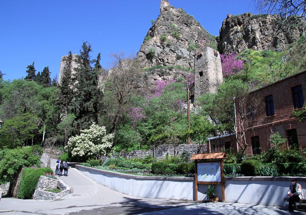 Apartment On Botanikuri Tbilisi Quarto foto